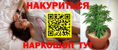 трава Ставрополь
