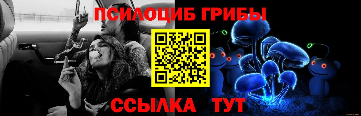 Псилоцибиновые грибы GOLDEN TEACHER  Галлюциногенные грибы мухоморы  Вход с VPN  Новочебоксарск 